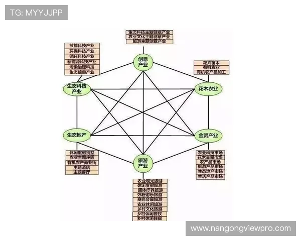 伯明翰俱乐部老板权力博弈与资本运作背后的兴衰与未来走向解析深